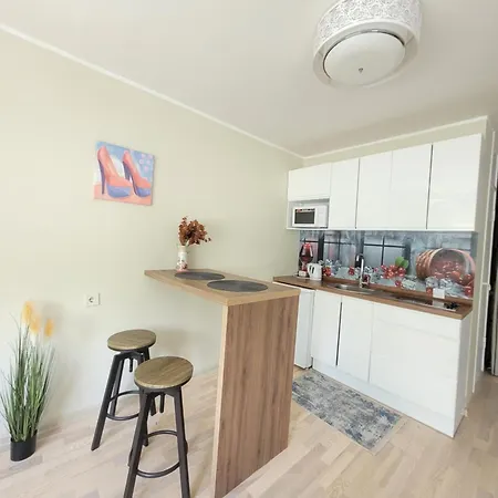 Apartment Giedres Linkuvos With A Separate Entrance Kaunas