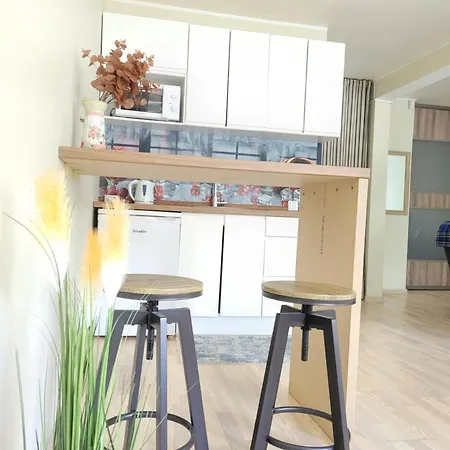 Giedres Linkuvos With A Separate Entrance Lägenhet Kaunas