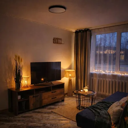 公寓 Giedres Linkuva With Private Entrance 考纳斯