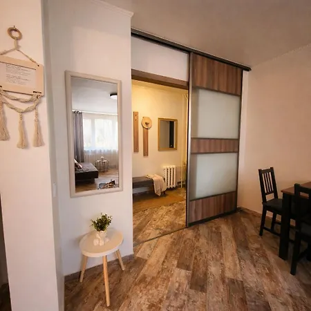 Giedres Linkuva With Private Entrance 公寓 考纳斯