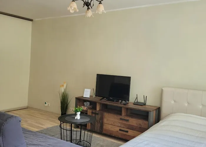 Giedres Linkuva With Private Entrance Apartamento *