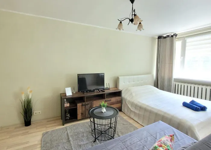 Giedres Linkuva With Private Entrance Apartamento Kaunas