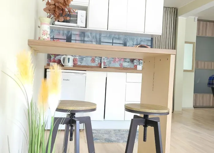 Giedres Linkuva With Private Entrance Apartamento Kaunas