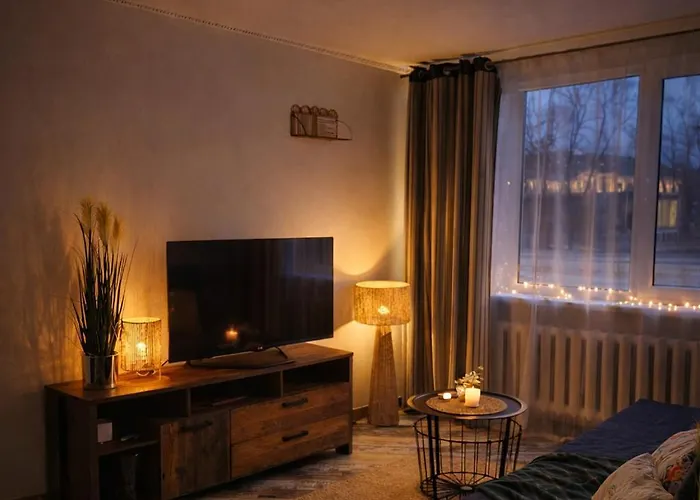 公寓 Giedres Linkuva With Private Entrance 考纳斯