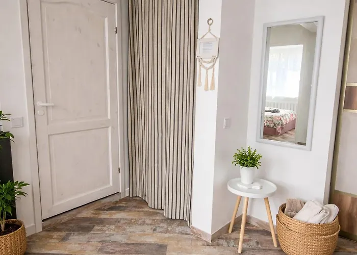 公寓 Giedres Linkuva With Private Entrance *