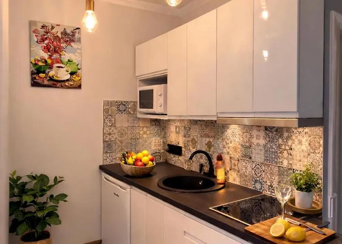 Giedres Linkuva With Private Entrance Kaunas