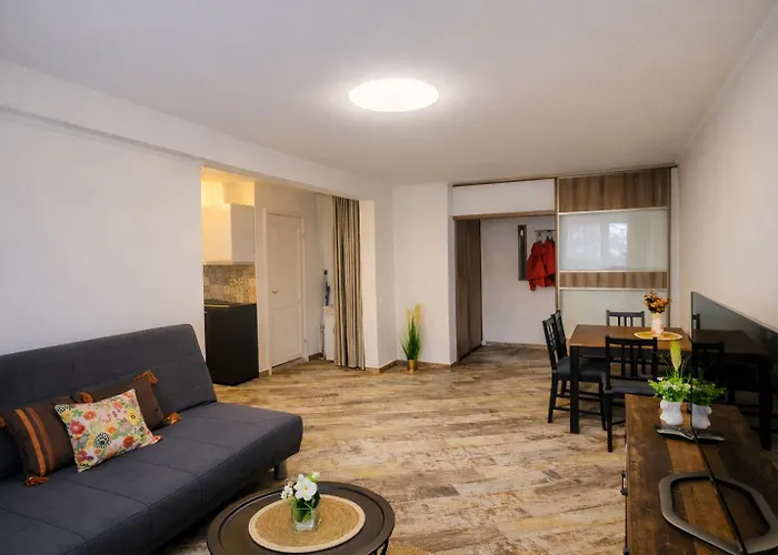 公寓 Giedres Linkuva With Private Entrance *