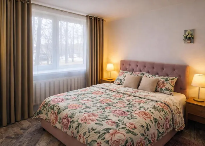 Giedres Linkuva With Private Entrance Apartamento Kaunas