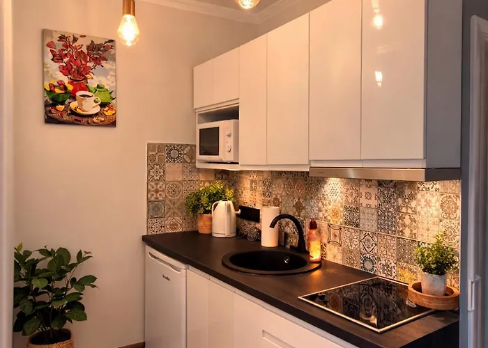 Apartamento Giedres Linkuva With Private Entrance *