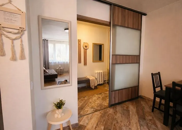 Giedres Linkuva With Private Entrance 公寓 考纳斯